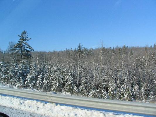 New Brunswick 2004 004.jpg